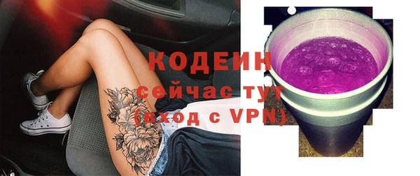 гидра Абаза