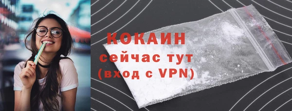 гидра Абаза