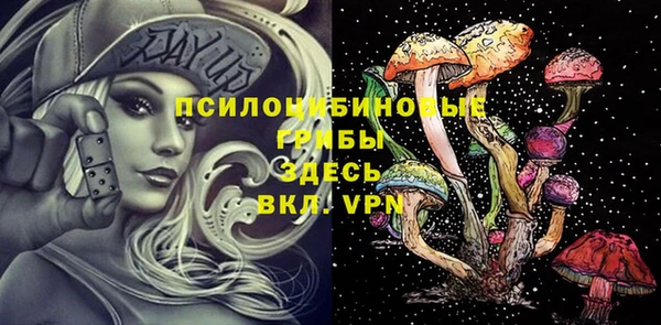 прущие крисы Абинск