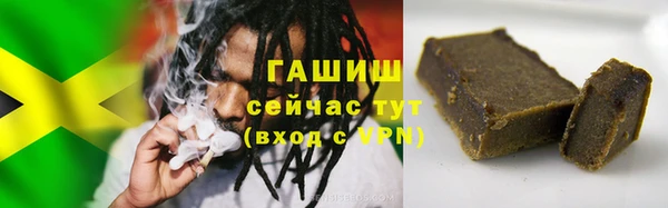 гидра Абаза