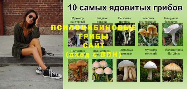 гидра Абаза
