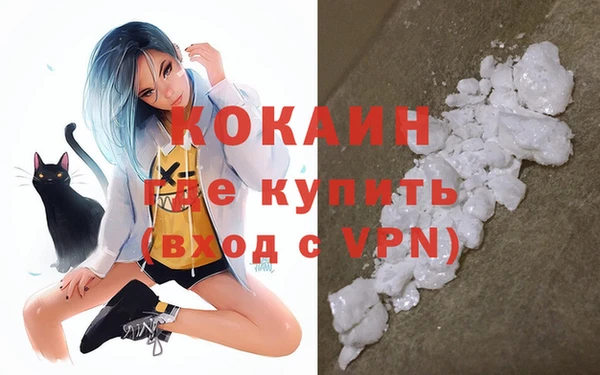 гидра Абаза