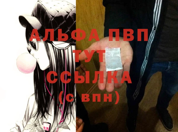 гидра Абаза