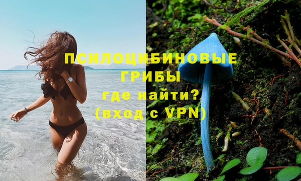прущие крисы Абинск
