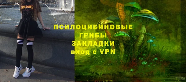 прущие крисы Абинск