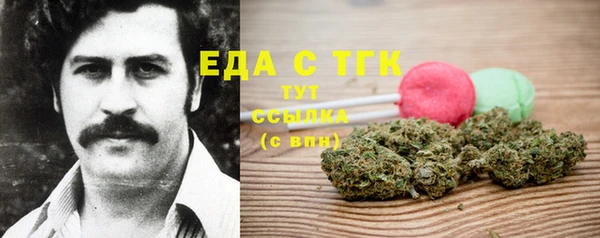гидра Абаза
